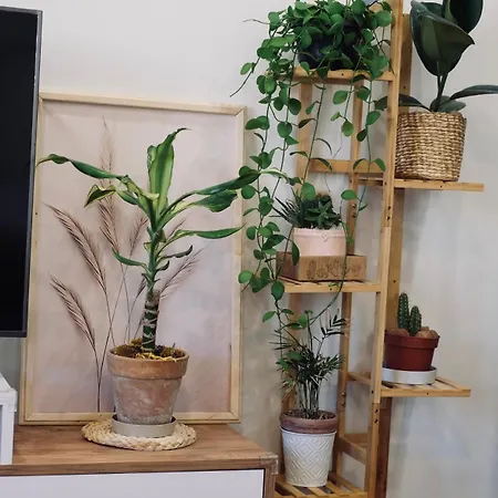 Happy Nest Tuscany شقة كاستيجليون فيورنتينو